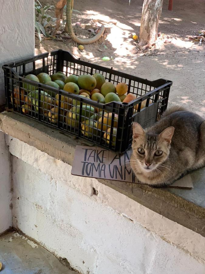 Posada La Huerta Mazunte Zewnętrze zdjęcie
